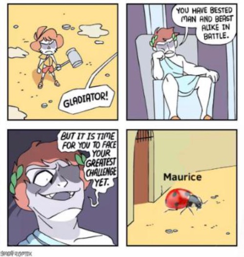 MAURICE | image tagged in memes,funny,repost,gladiator,fun,bug | made w/ Imgflip meme maker