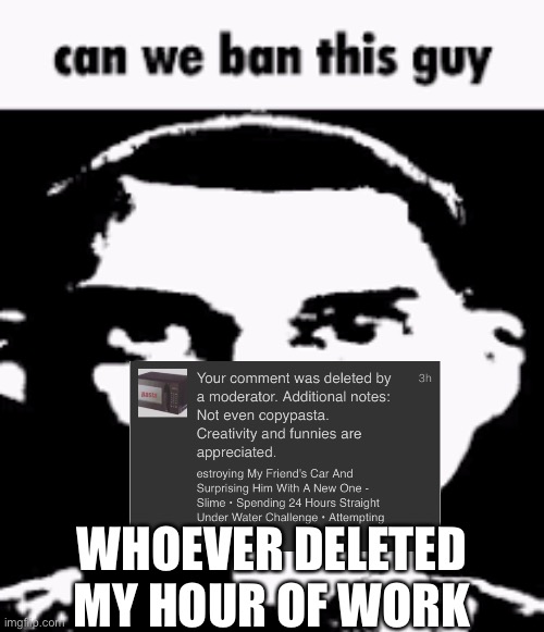 Can we ban this guy | WHOEVER DELETED MY HOUR OF WORK | image tagged in can we ban this guy | made w/ Imgflip meme maker