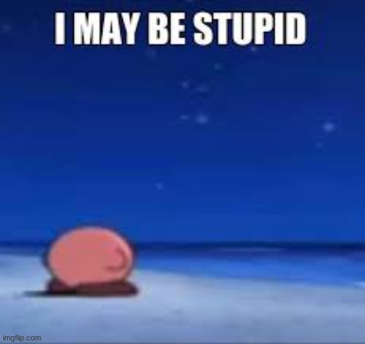 he may be stupid | made w/ Imgflip meme maker