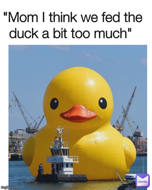 Giant Rubber Duck | image tagged in ducks,rubber ducks,memes,funny,repost,duck | made w/ Imgflip meme maker