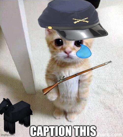 Union | CAPTION THIS | image tagged in memes,cute cat,american civil war | made w/ Imgflip meme maker