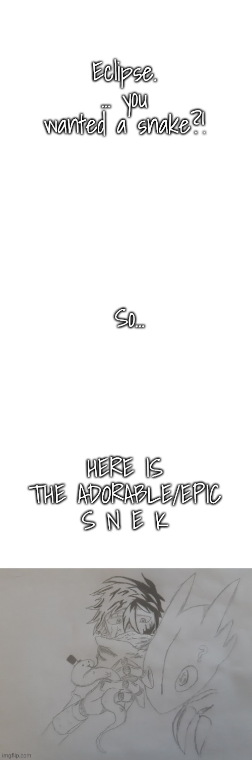 S N E K | Eclipse. ... you wanted a snake?! So... HERE IS THE ADORABLE/EPIC S N E K | image tagged in blank white template,shadow his draxolotl and a snek | made w/ Imgflip meme maker