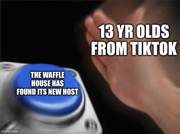 It has to stop | 13 YR OLDS FROM TIKTOK; THE WAFFLE HOUSE HAS FOUND ITS NEW HOST | image tagged in memes,blank nut button | made w/ Imgflip meme maker