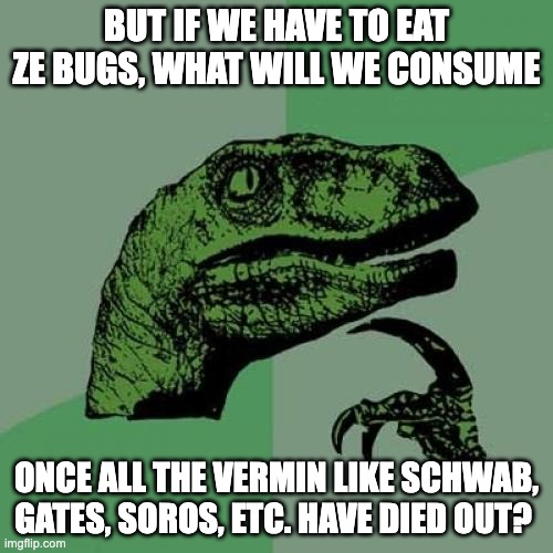 Eat Ze Bugs | BUT IF WE HAVE TO EAT ZE BUGS, WHAT WILL WE CONSUME; ONCE ALL THE VERMIN LIKE SCHWAB, GATES, SOROS, ETC. HAVE DIED OUT? | image tagged in memes,philosoraptor,klaus schwab,bill gates,george soros,eat ze bugs | made w/ Imgflip meme maker
