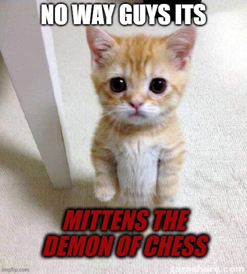 Cute Cat Meme | NO WAY GUYS ITS; MITTENS THE DEMON OF CHESS | image tagged in memes,cute cat | made w/ Imgflip meme maker