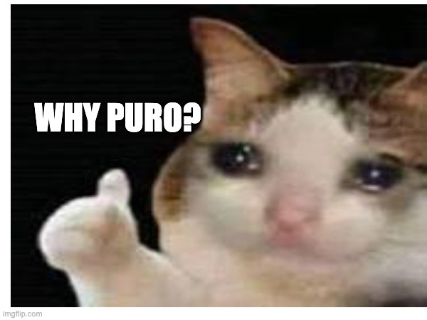 WHY PURO? | made w/ Imgflip meme maker