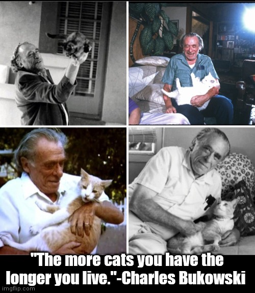 Buk & his cattos | "The more cats you have the longer you live."-Charles Bukowski | image tagged in funny | made w/ Imgflip meme maker