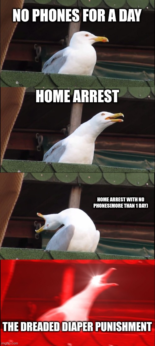 Inhaling Seagull | NO PHONES FOR A DAY; HOME ARREST; HOME ARREST WITH NO PHONES(MORE THAN 1 DAY); THE DREADED DIAPER PUNISHMENT | image tagged in memes,inhaling seagull | made w/ Imgflip meme maker