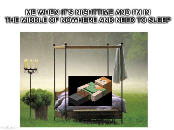 ME WHEN IT’S NIGHTTIME AND I’M IN THE MIDDLE OF NOWHERE AND NEED TO SLEEP | image tagged in minecraft,memes,funny | made w/ Imgflip meme maker