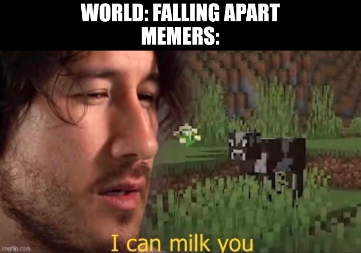 true | WORLD: FALLING APART
MEMERS: | image tagged in i can milk you template | made w/ Imgflip meme maker