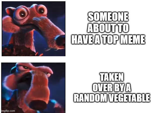 Scrat Meme | SOMEONE ABOUT TO HAVE A TOP MEME; TAKEN OVER BY A RANDOM VEGETABLE | image tagged in funny memes,scrat,ice age,imgflip,a random meme,certified bruh moment | made w/ Imgflip meme maker