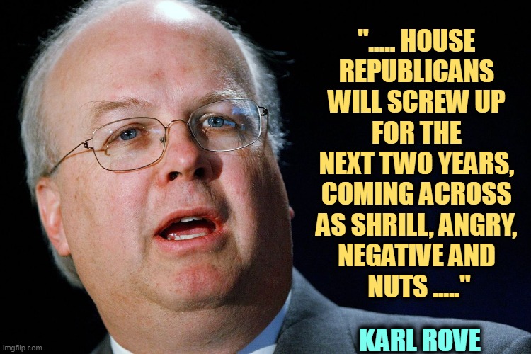 There already. That was fast. | "..... HOUSE 
REPUBLICANS 
WILL SCREW UP 
FOR THE 
NEXT TWO YEARS, 
COMING ACROSS 
AS SHRILL, ANGRY, 
NEGATIVE AND 
NUTS ....."; KARL ROVE | image tagged in house,republicans,angry,negative,nuts,maga | made w/ Imgflip meme maker
