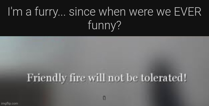 image tagged in friendly fire will not be tolerated | made w/ Imgflip meme maker