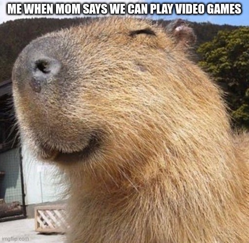 :D | ME WHEN MOM SAYS WE CAN PLAY VIDEO GAMES | image tagged in capy blappy | made w/ Imgflip meme maker