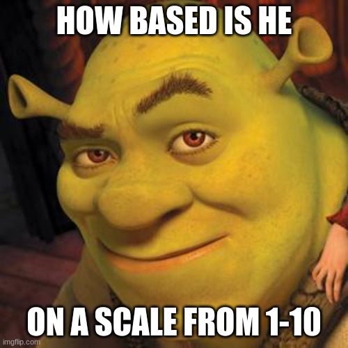 Shrek Sexy Face | HOW BASED IS HE; ON A SCALE FROM 1-10 | image tagged in shrek sexy face | made w/ Imgflip meme maker
