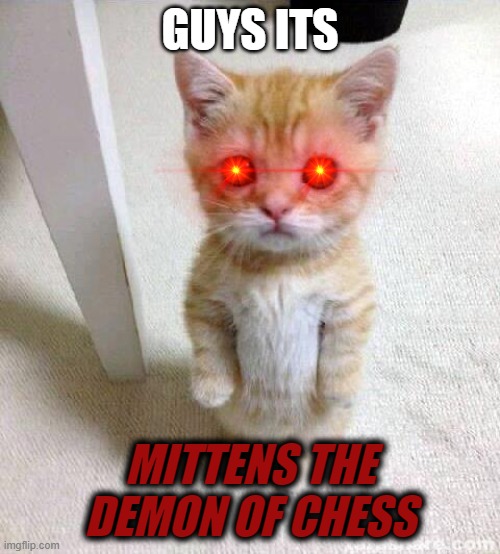 Cute Cat | GUYS ITS; MITTENS THE DEMON OF CHESS | image tagged in memes,cute cat | made w/ Imgflip meme maker