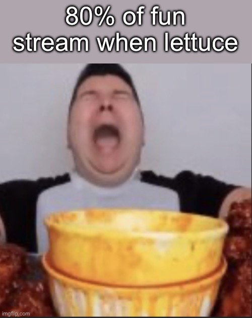 Nico | 80% of fun stream when lettuce | image tagged in nico | made w/ Imgflip meme maker