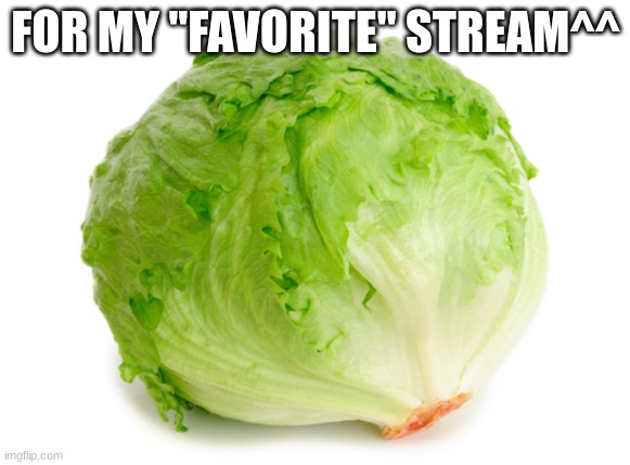 heres your daily dose of lettuce | FOR MY "FAVORITE" STREAM^^ | image tagged in lettuce | made w/ Imgflip meme maker