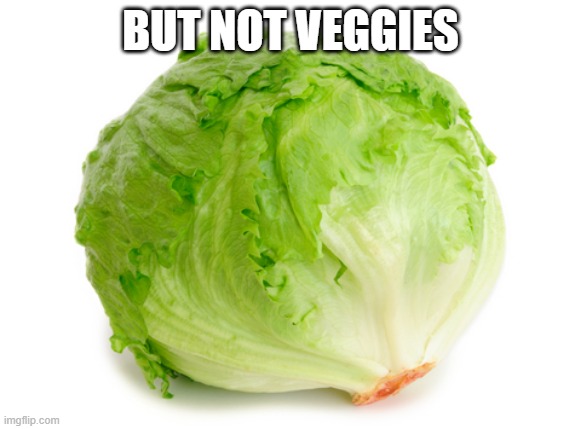 Lettuce  | BUT NOT VEGGIES | image tagged in lettuce | made w/ Imgflip meme maker