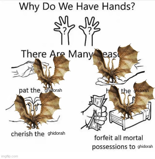Why do we have hands? (all blank) | ghidorah; ghidorah; ghidorah; ghidorah | image tagged in why do we have hands all blank | made w/ Imgflip meme maker