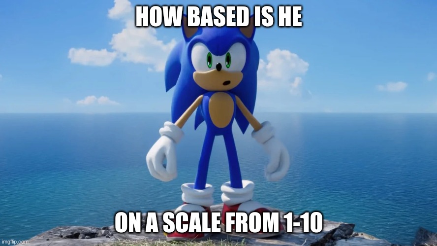 Sonic Surprised | HOW BASED IS HE; ON A SCALE FROM 1-10 | image tagged in sonic surprised | made w/ Imgflip meme maker