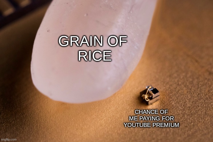 Grain Of Rice | GRAIN OF 
RICE; CHANCE OF ME PAYING FOR YOUTUBE PREMIUM | image tagged in grain of rice | made w/ Imgflip meme maker