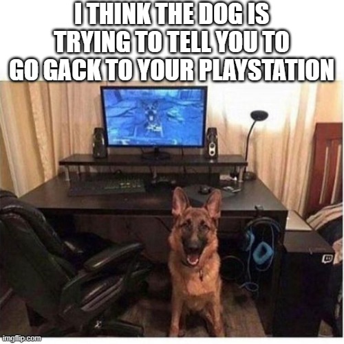 dogmeat hates computers | I THINK THE DOG IS TRYING TO TELL YOU TO GO GACK TO YOUR PLAYSTATION | image tagged in fallout,fallout 4,playstation | made w/ Imgflip meme maker