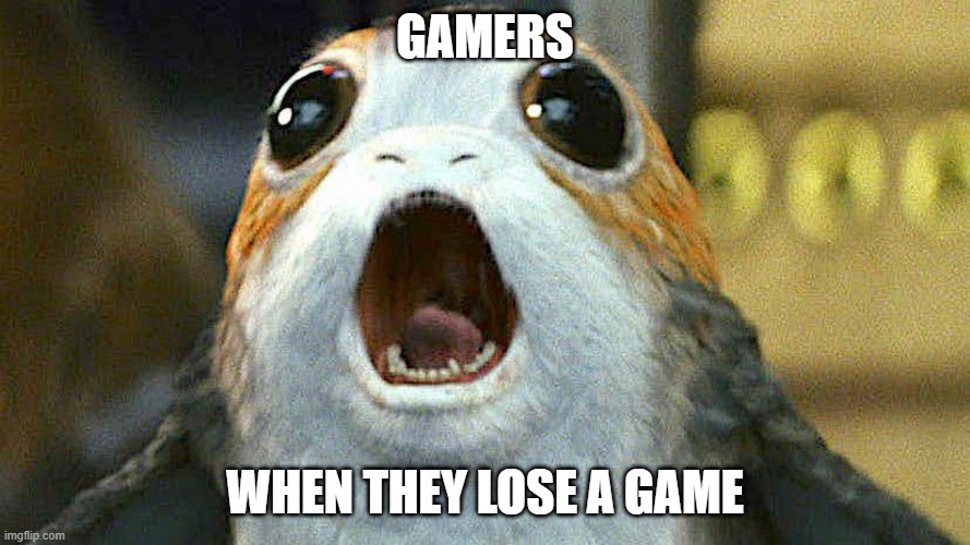 these guys | GAMERS; WHEN THEY LOSE A GAME | image tagged in porg | made w/ Imgflip meme maker