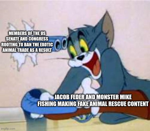 That's karma for ya, except it gets to people who never deserved it | MEMBERS OF THE US SENATE AND CONGRESS ROOTING TO BAN THE EXOTIC ANIMAL TRADE AS A RESULT; JACOB FEDER AND MONSTER MIKE FISHING MAKING FAKE ANIMAL RESCUE CONTENT | image tagged in tom the cat shooting himself,jacob feder,youtube,aquarium | made w/ Imgflip meme maker