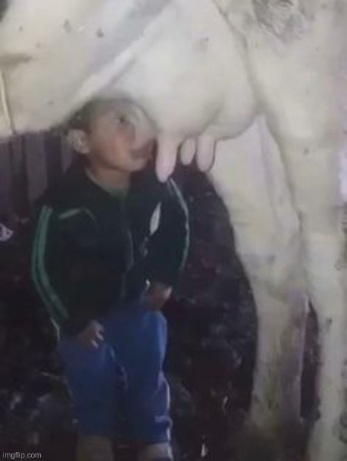 mliik | made w/ Imgflip meme maker