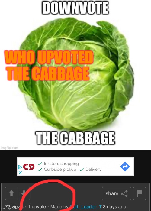 ALRIGHT WHO THE FRICK UPVOTED THE CABBAGE | WHO UPVOTED THE CABBAGE | image tagged in cabbage,downvote,upvote | made w/ Imgflip meme maker