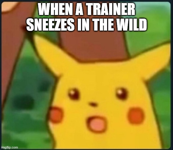 Suprised Pikachu | WHEN A TRAINER SNEEZES IN THE WILD | image tagged in surprised pikachu | made w/ Imgflip meme maker