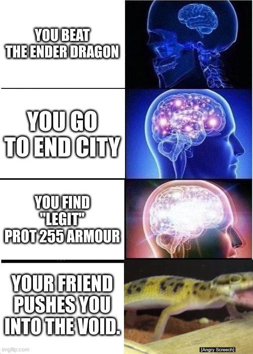 Expanding Brain Meme | YOU BEAT THE ENDER DRAGON; YOU GO TO END CITY; YOU FIND "LEGIT" PROT 255 ARMOUR; YOUR FRIEND PUSHES YOU INTO THE VOID. | image tagged in memes,expanding brain | made w/ Imgflip meme maker
