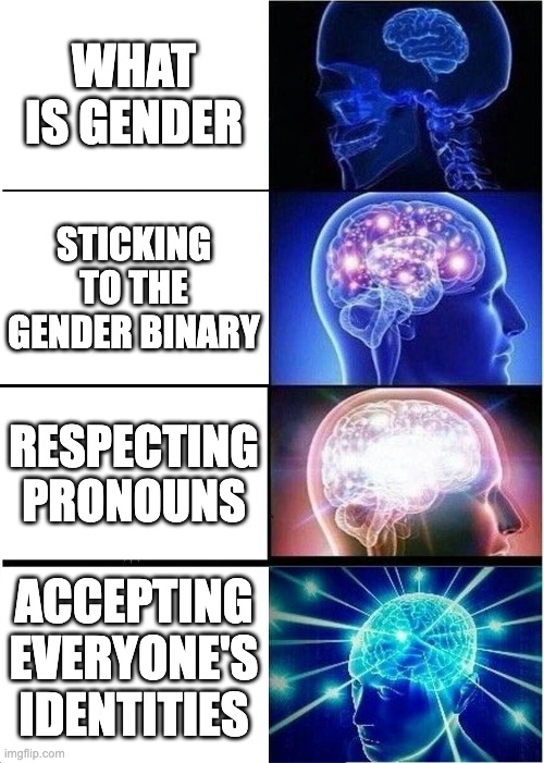 Expanding Brain Meme | WHAT IS GENDER; STICKING TO THE GENDER BINARY; RESPECTING PRONOUNS; ACCEPTING EVERYONE'S IDENTITIES | image tagged in memes,expanding brain | made w/ Imgflip meme maker