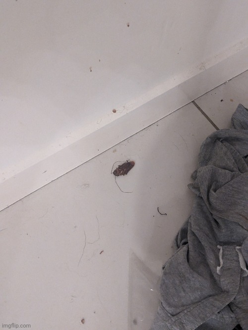 Got em | made w/ Imgflip meme maker