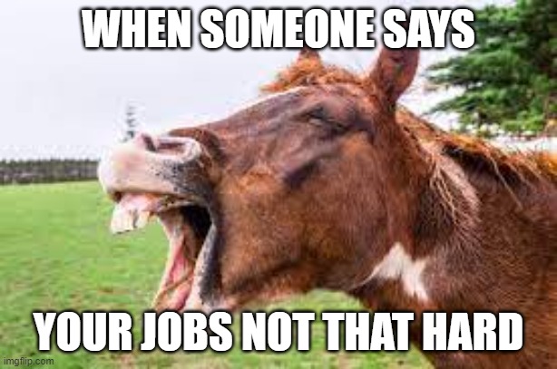 WHEN SOMEONE SAYS; YOUR JOBS NOT THAT HARD | made w/ Imgflip meme maker