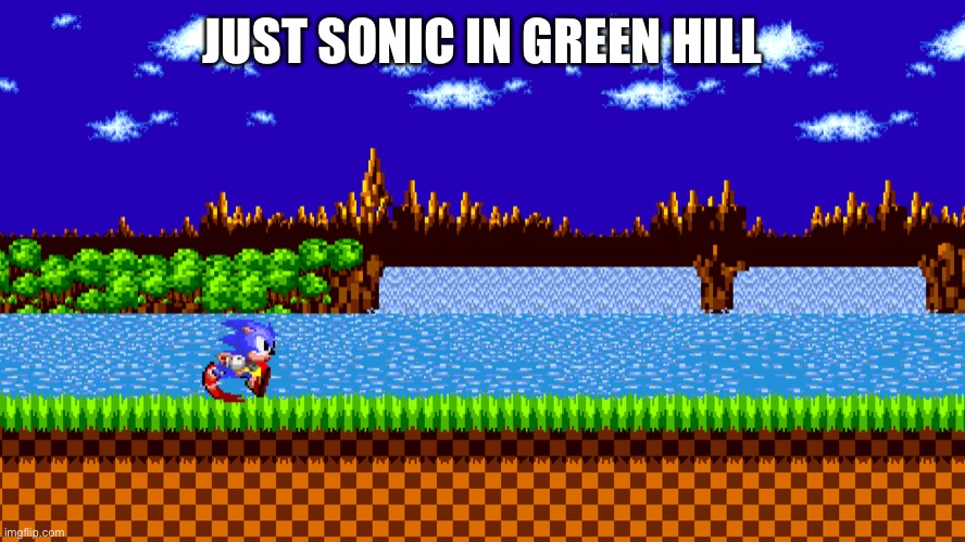 I was bored | JUST SONIC IN GREEN HILL | image tagged in sonic in green hill zone | made w/ Imgflip meme maker