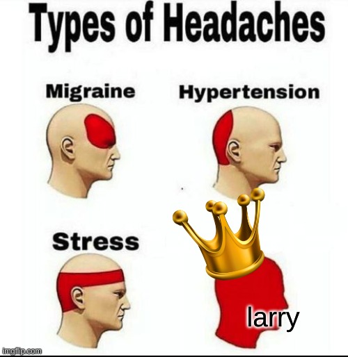 Types of Headaches meme | larry | image tagged in types of headaches meme | made w/ Imgflip meme maker