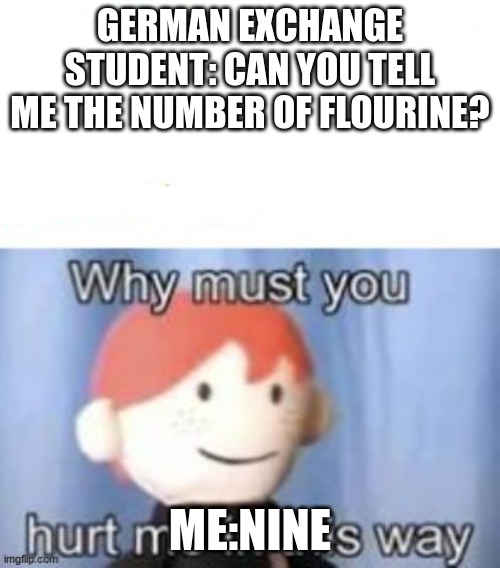 blank why must you hurt me | GERMAN EXCHANGE STUDENT: CAN YOU TELL ME THE NUMBER OF FLOURINE? ME:NINE | image tagged in blank why must you hurt me | made w/ Imgflip meme maker