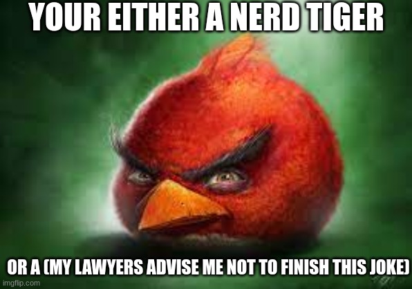 Realistic Red Angry Birds | YOUR EITHER A NERD TIGER OR A (MY LAWYERS ADVISE ME NOT TO FINISH THIS JOKE) | image tagged in realistic red angry birds | made w/ Imgflip meme maker