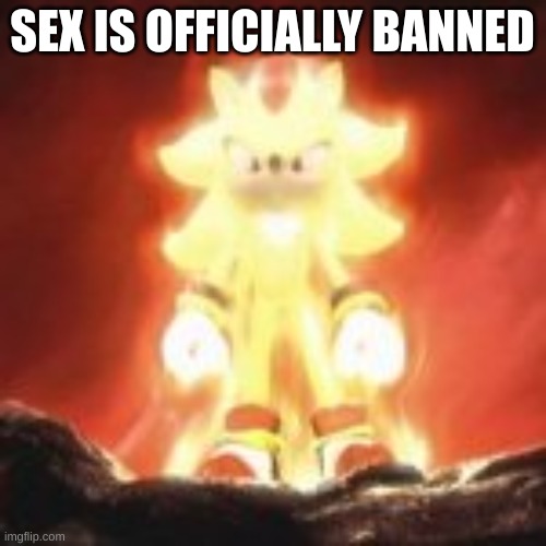 SEX IS OFFICIALLY BANNED | made w/ Imgflip meme maker