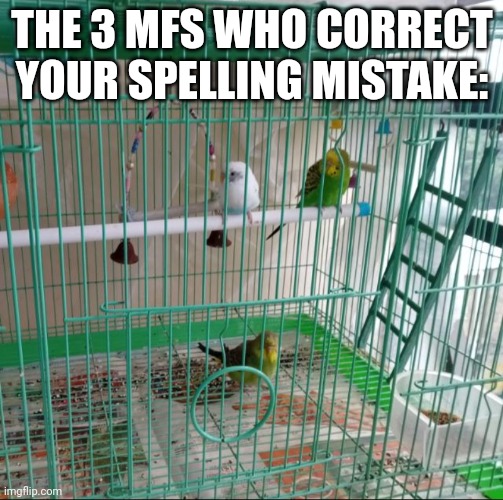 Birb | THE 3 MFS WHO CORRECT YOUR SPELLING MISTAKE: | image tagged in relatable | made w/ Imgflip meme maker