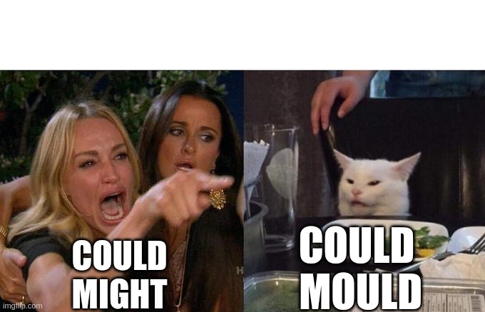 Woman Yelling At Cat | COULD
 MOULD; COULD
MIGHT | image tagged in memes,woman yelling at cat | made w/ Imgflip meme maker