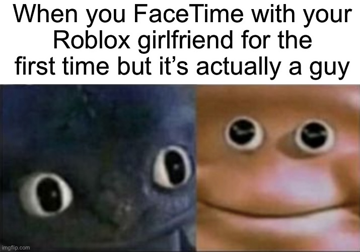 umm...Hi? | When you FaceTime with your Roblox girlfriend for the first time but it’s actually a guy | image tagged in blank stare dragon,funny | made w/ Imgflip meme maker