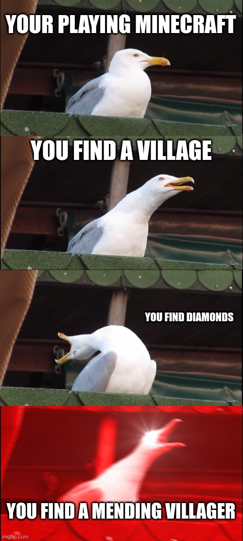 Inhaling Seagull | YOUR PLAYING MINECRAFT; YOU FIND A VILLAGE; YOU FIND DIAMONDS; YOU FIND A MENDING VILLAGER | image tagged in memes,inhaling seagull | made w/ Imgflip meme maker