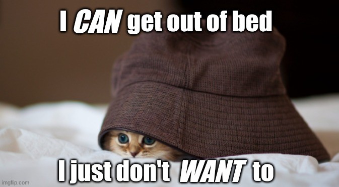 Cat Under a Hat | CAN; I             get out of bed; I just don't                  to; WANT | image tagged in grumpy cat,cat,kitty,funny,sleepy cat,memes | made w/ Imgflip meme maker