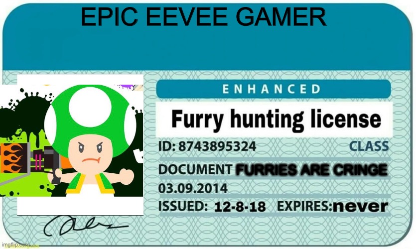 furry hunting license | EPIC EEVEE GAMER; FURRIES ARE CRINGE | image tagged in furry hunting license | made w/ Imgflip meme maker