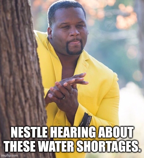 Black guy hiding behind tree | NESTLE HEARING ABOUT THESE WATER SHORTAGES. | image tagged in black guy hiding behind tree | made w/ Imgflip meme maker