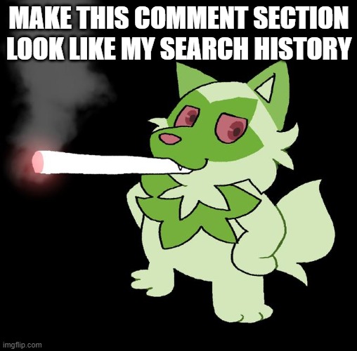 do it | MAKE THIS COMMENT SECTION LOOK LIKE MY SEARCH HISTORY | image tagged in weed cat | made w/ Imgflip meme maker