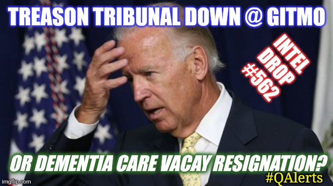 Fundamental Disagreement on Definition of Treason? "I’ll develop some disease and say I have to resign." -Joe Biden ;) #DEMENTIA | TREASON TRIBUNAL DOWN @ GITMO; INTEL DROP #562; OR DEMENTIA CARE VACAY RESIGNATION? #QAlerts | image tagged in joe biden worries,classified,treason,totally busted,dementia,vacation | made w/ Imgflip meme maker